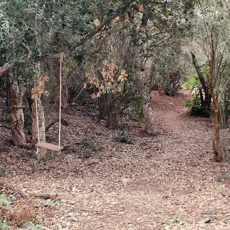 La Herbolera Vv Tatil Evi Teror