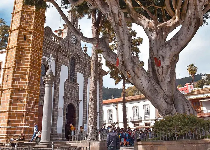 La Herbolera Vv *